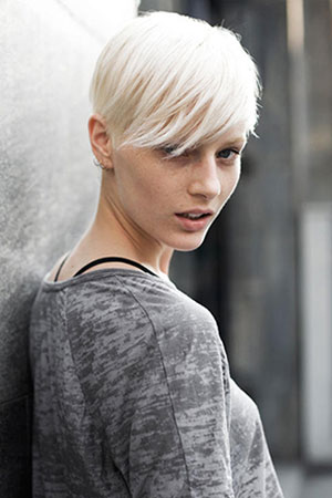 The Fringe is Back! The Fringe is Back!